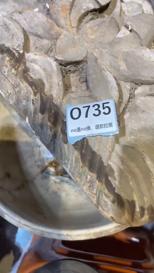 陶瓷水**在跳跳火爆火爆热卖热卖