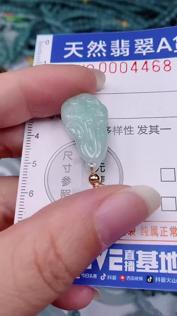 翡翠未镶嵌颈饰00004468