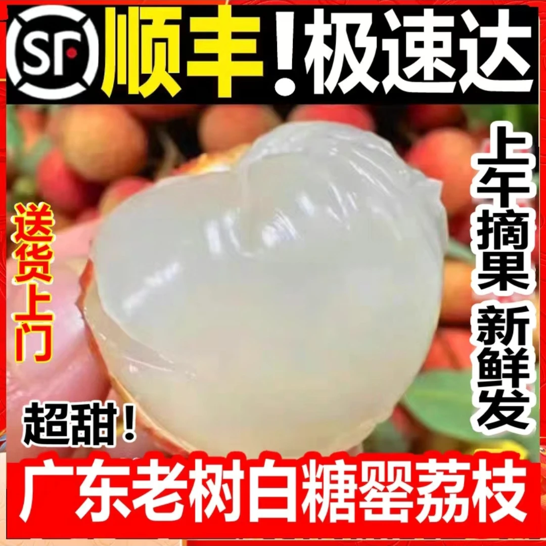 【明日送达】广东高州荔枝白糖罂带箱4.5斤新鲜采摘果园直发顺丰包邮到家荔枝同城送