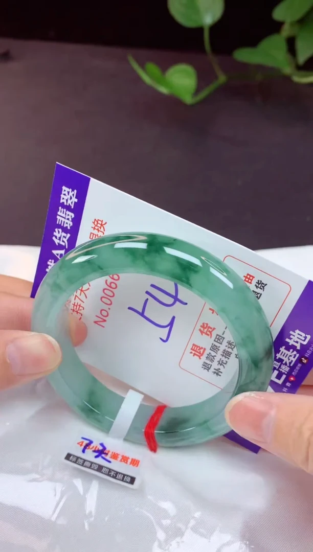 未镶嵌手镯翡翠54（7天无理由退换 ）