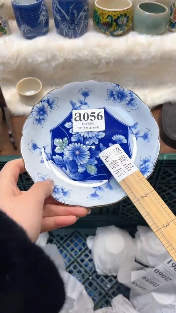 【闪购商品】瓷片          a056