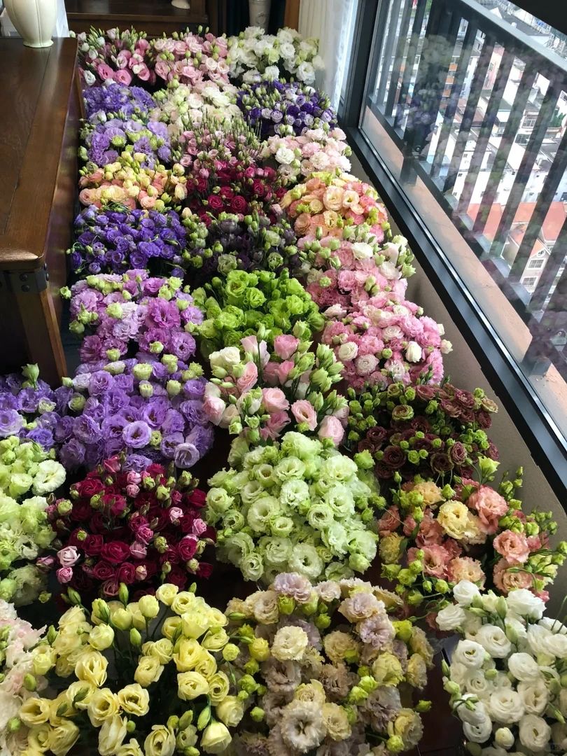 【大聪明卖花】洋桔梗-任意2单鲜花包邮发货后不支持退款