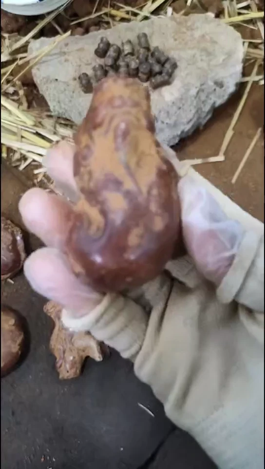 未镶嵌和田玉挂件一单一个