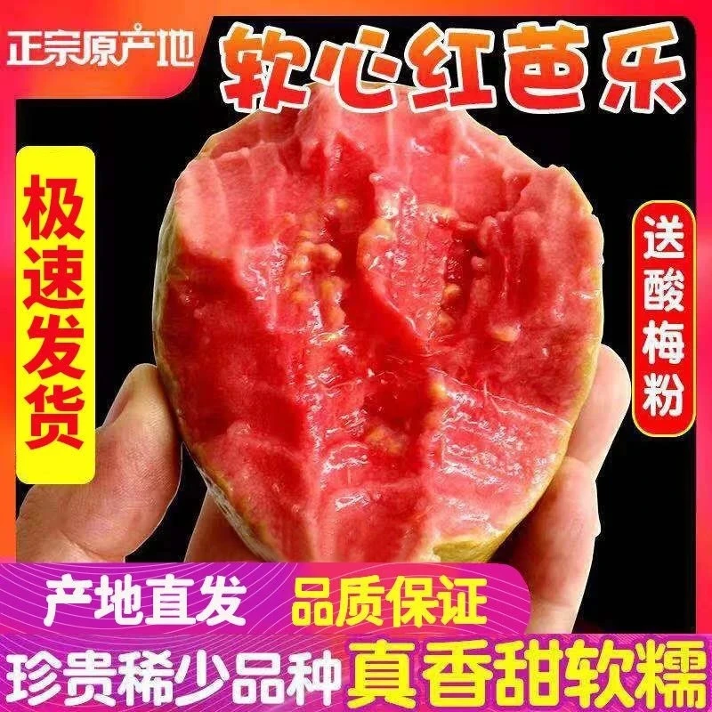 广西软心红心番石榴白心软芭乐新鲜水果白心红心软芭乐净重3斤5斤