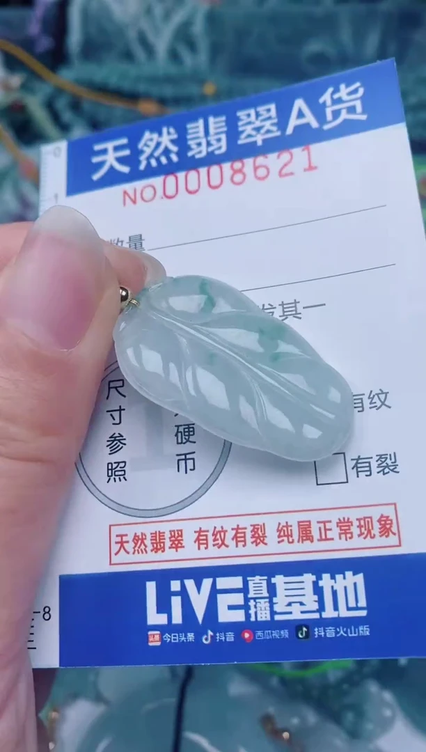 颈饰未镶嵌翡翠00008621