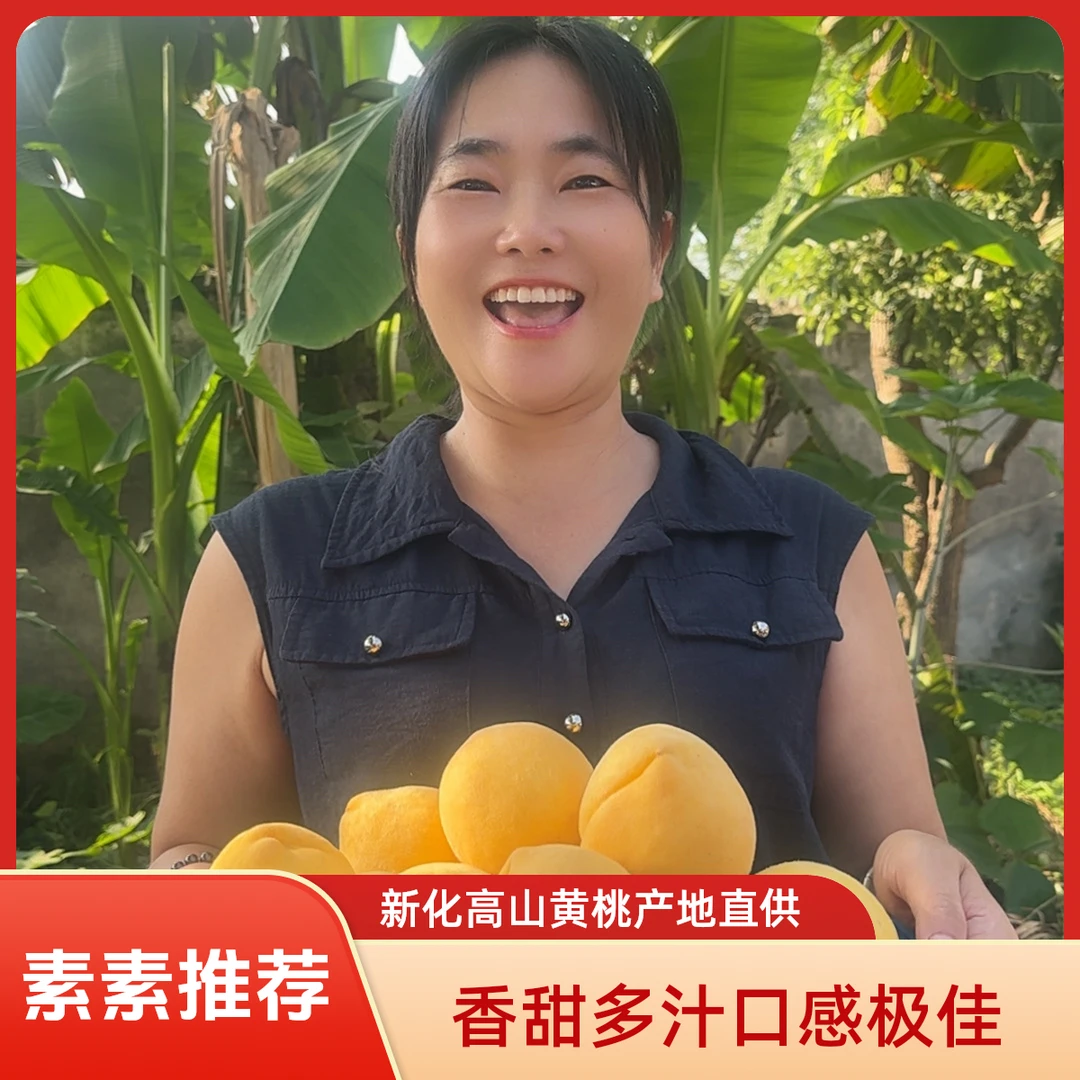 【素素专属】新化高山黄桃香甜多汁现摘新鲜当季水果