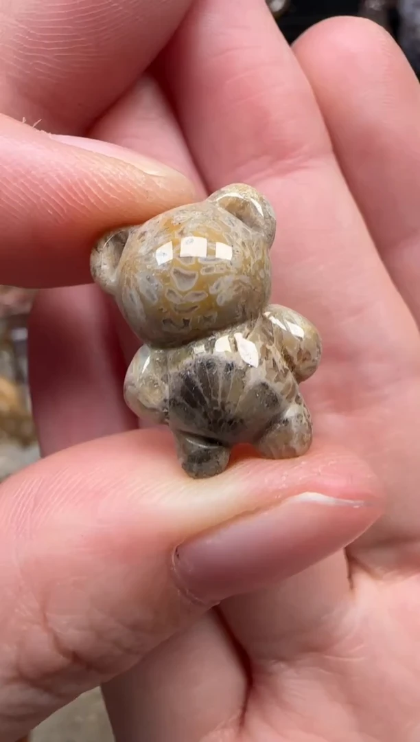 颈饰未镶嵌硅化珊瑚（珊瑚玉）576