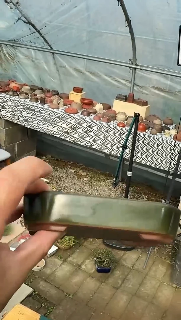 ?**y花盆闪购定向链接