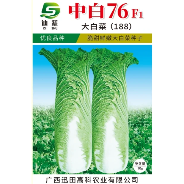 卷筒青白菜种子188*中白76F1大白菜种籽