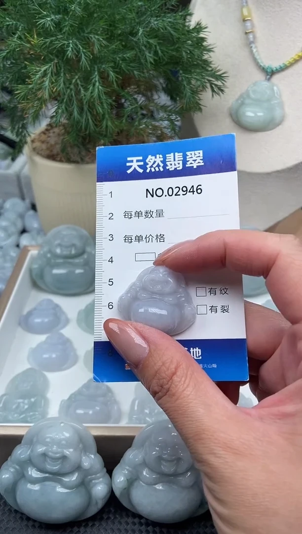 颈饰未镶嵌翡翠纯天然A货缅翡2946