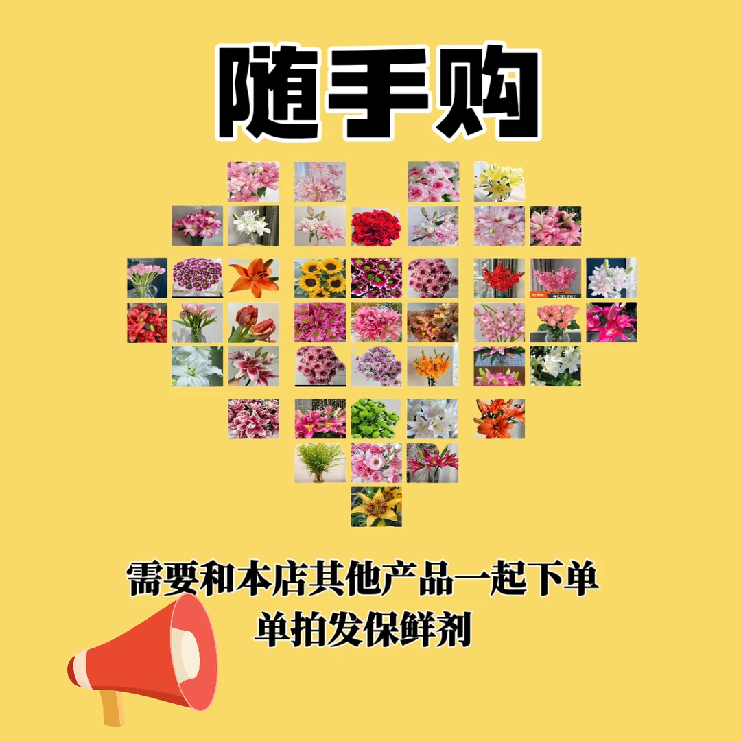 【随手购花花】（注意:需要与正价品一起下单，单拍发保鲜剂）包邮