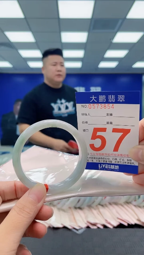 未镶嵌手镯翡翠AAAAAAAAAA