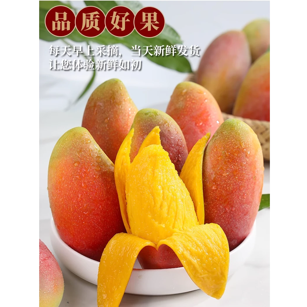 京东包邮8斤礼盒装海南三亚直发红金龙树熟贵妃芒精品果