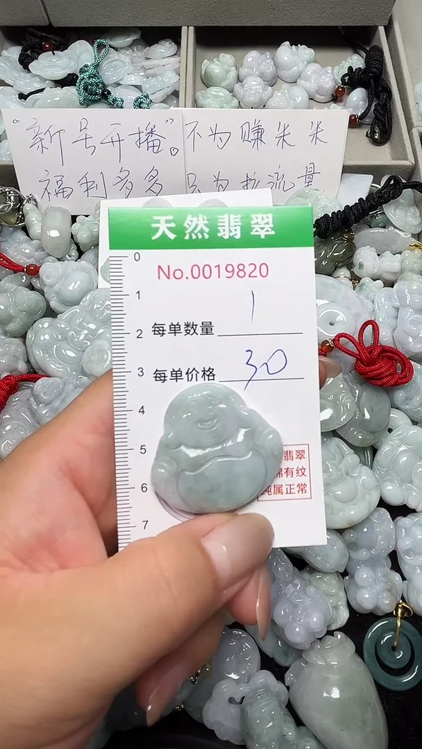 翡翠未镶嵌吊坠(不含链)9820