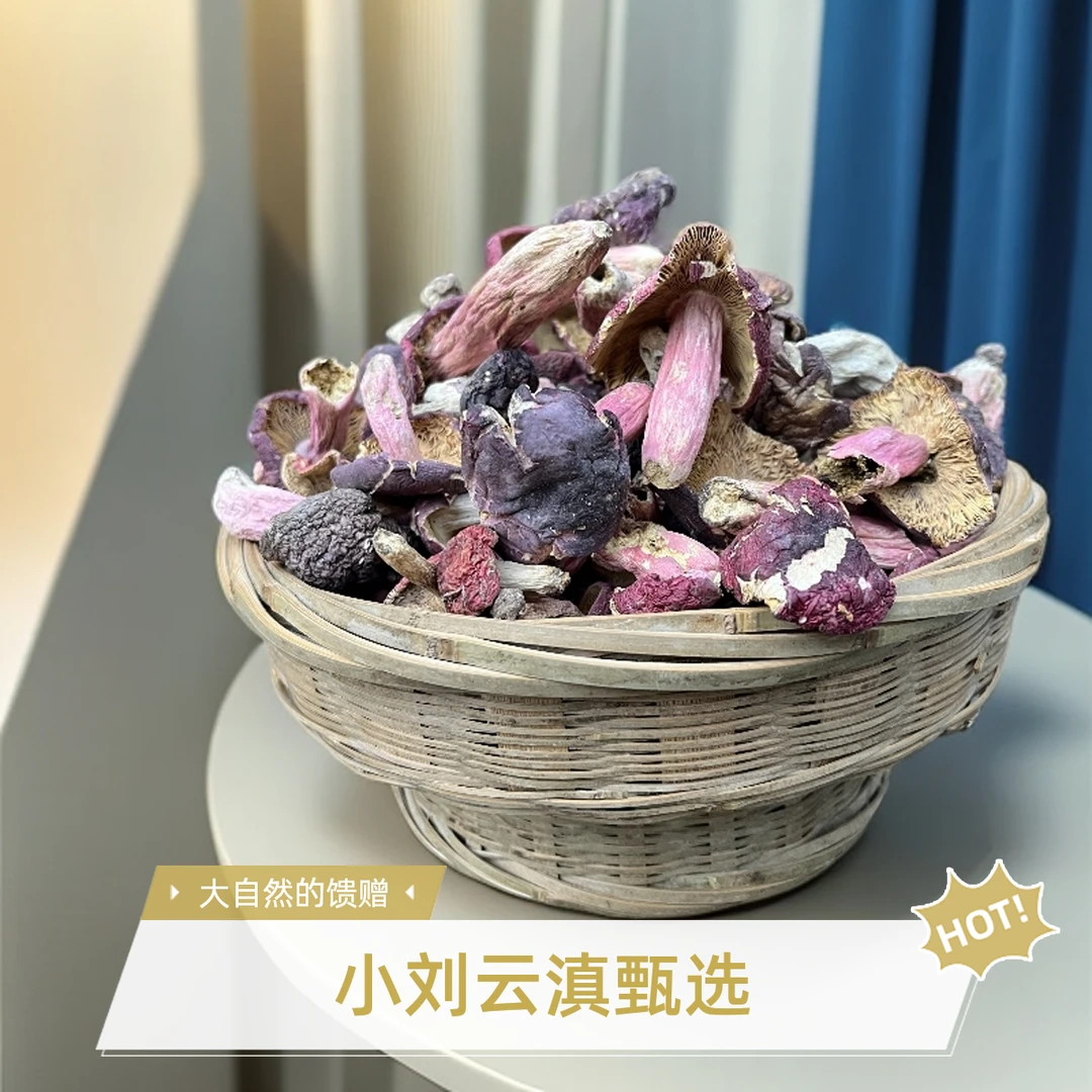 小刘云滇甄选-红菇菌