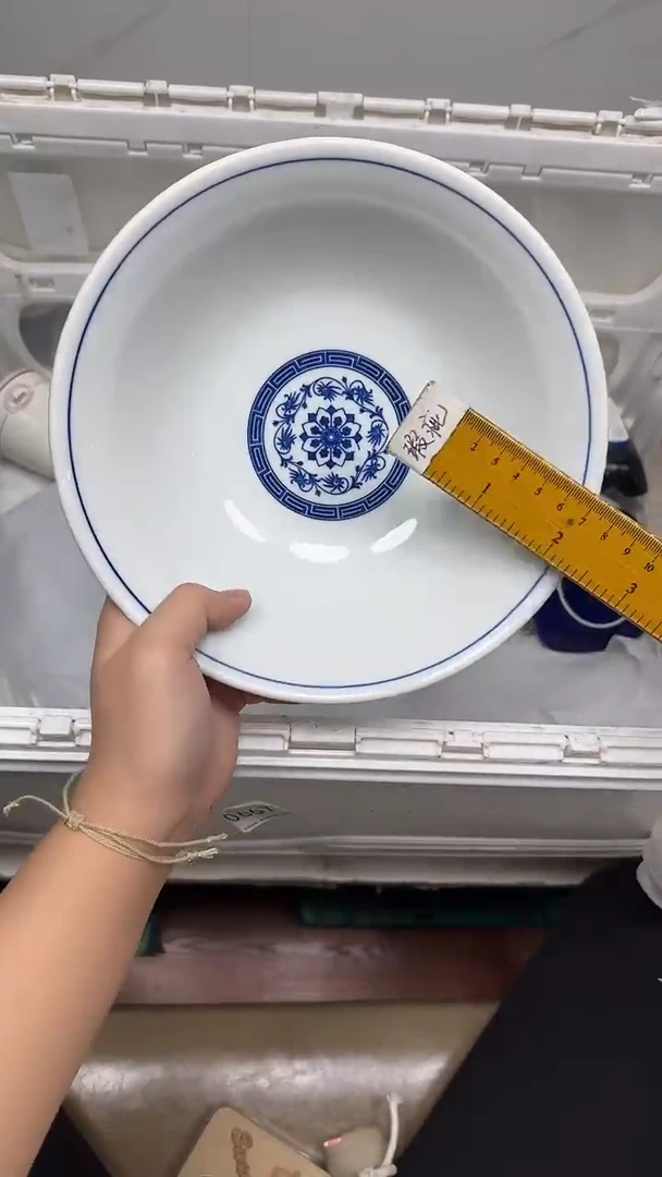 【闪购商品】204回流瓷器默认微瑕，18.8包邮