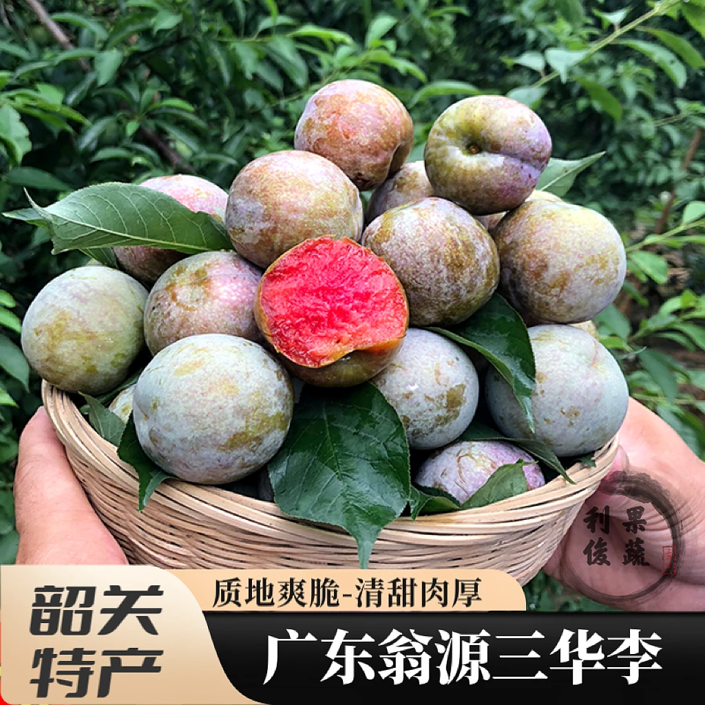 正宗广东翁源三华李红心李子味帝恐龙蛋韶关特产新鲜水果整箱