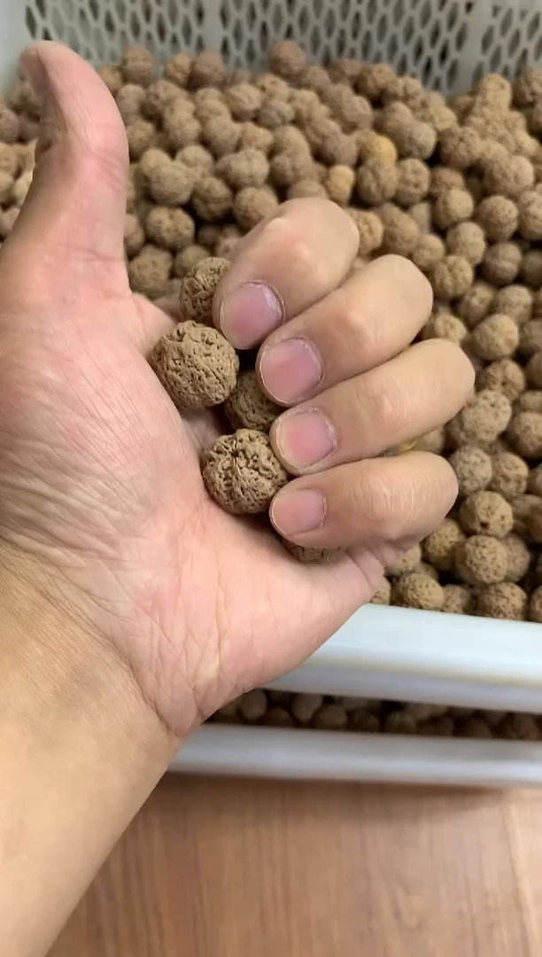 金刚菩提手串663菠萝蜜一条