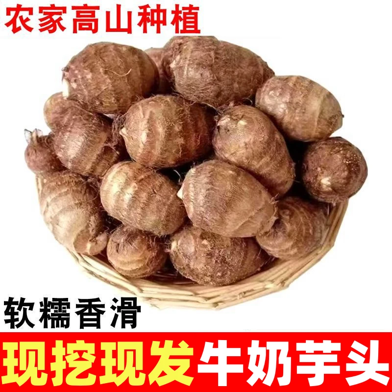 【今年芋头新鲜】贵州牛奶小毛芋头粉糯香芋香糯批发芋仔艿芋蔬菜