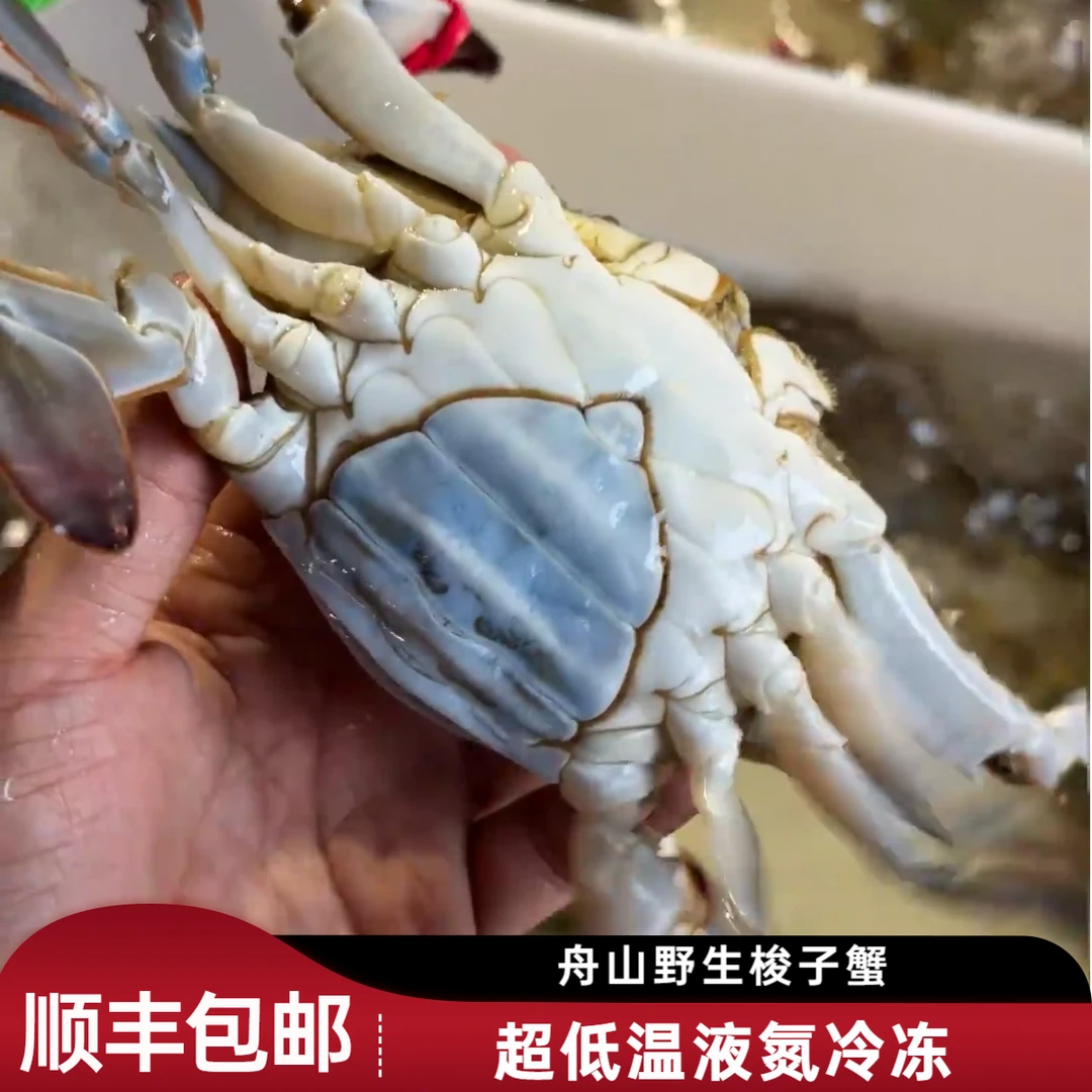 舟山本地梭子蟹【母蟹】流网全母蟹液氮超低温单只3-4两左右3斤到手10只【冻蟹】