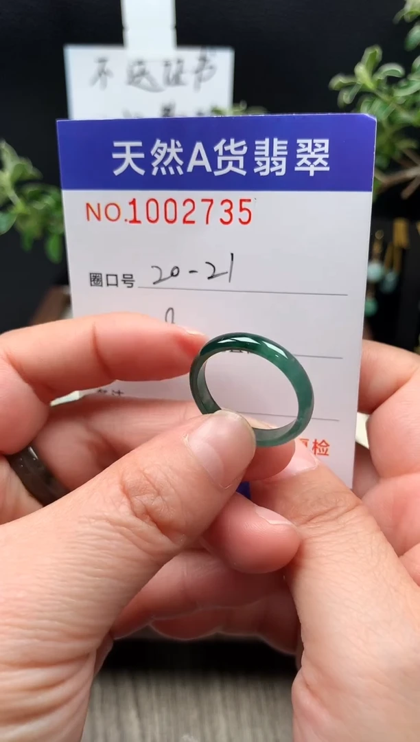 未镶嵌戒指翡翠20-21#