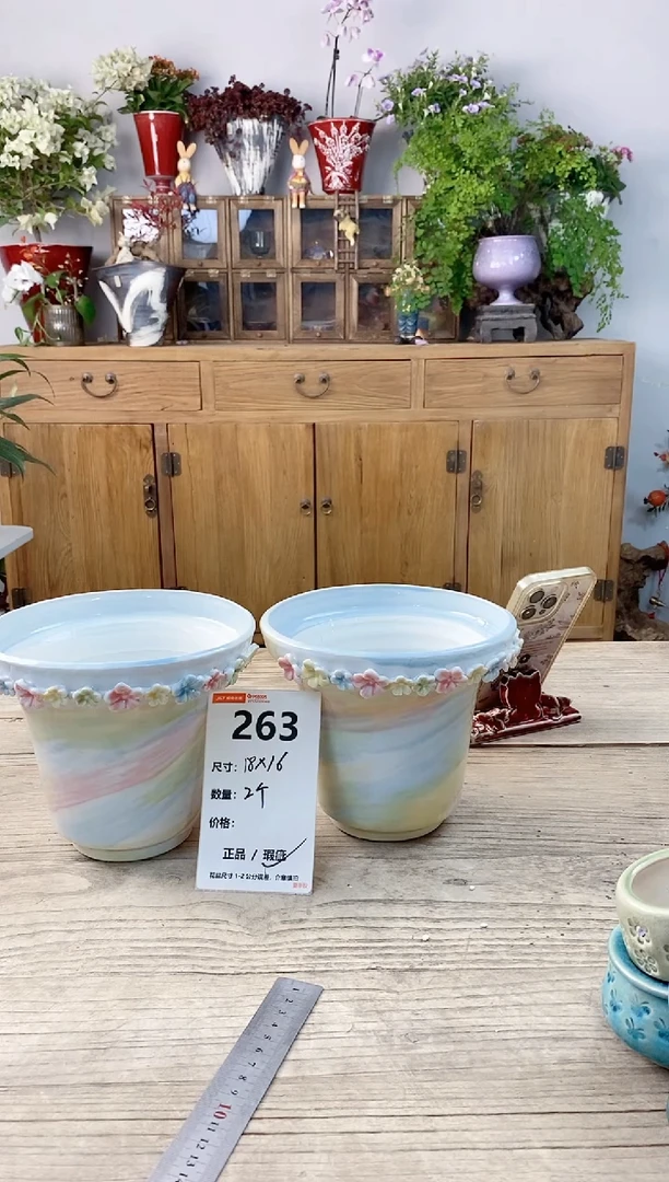 小玩子花盆直播号263