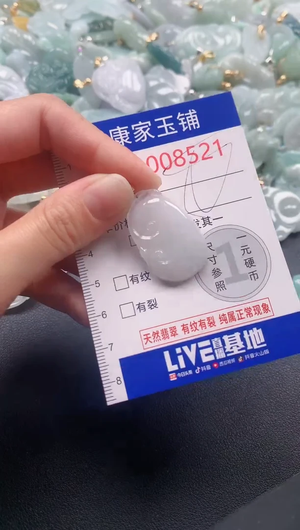 颈饰未镶嵌翡翠8521