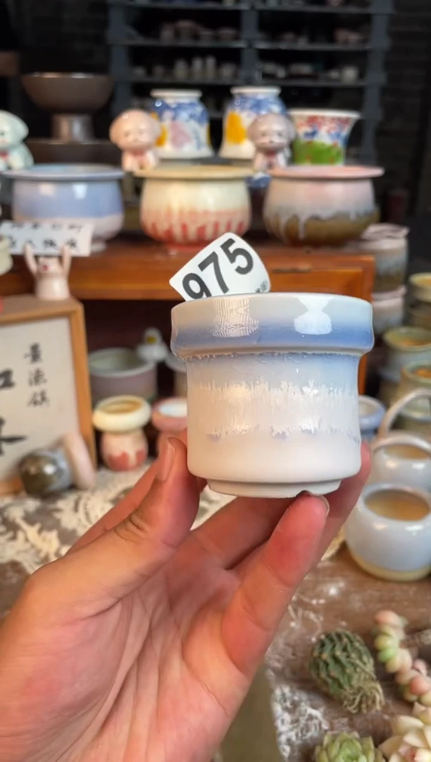 瓷片975小芳直播编号