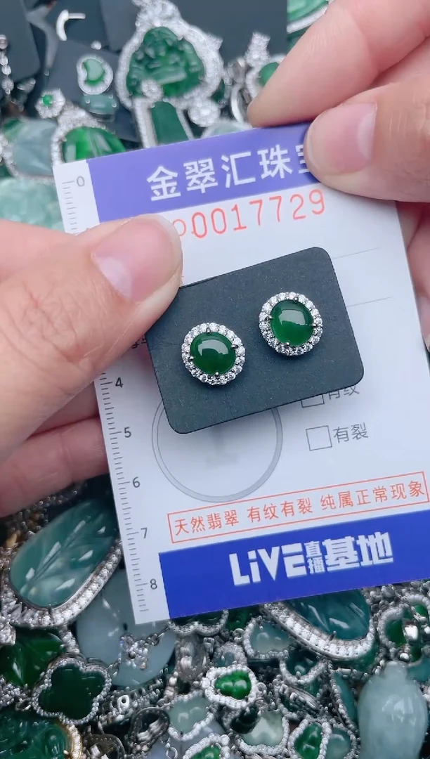 【闪购商品】翡翠颈饰未镶嵌17729.....1