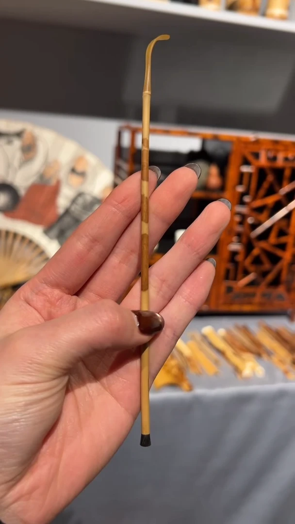 竹福建红湘妃竹茶拨福建妃