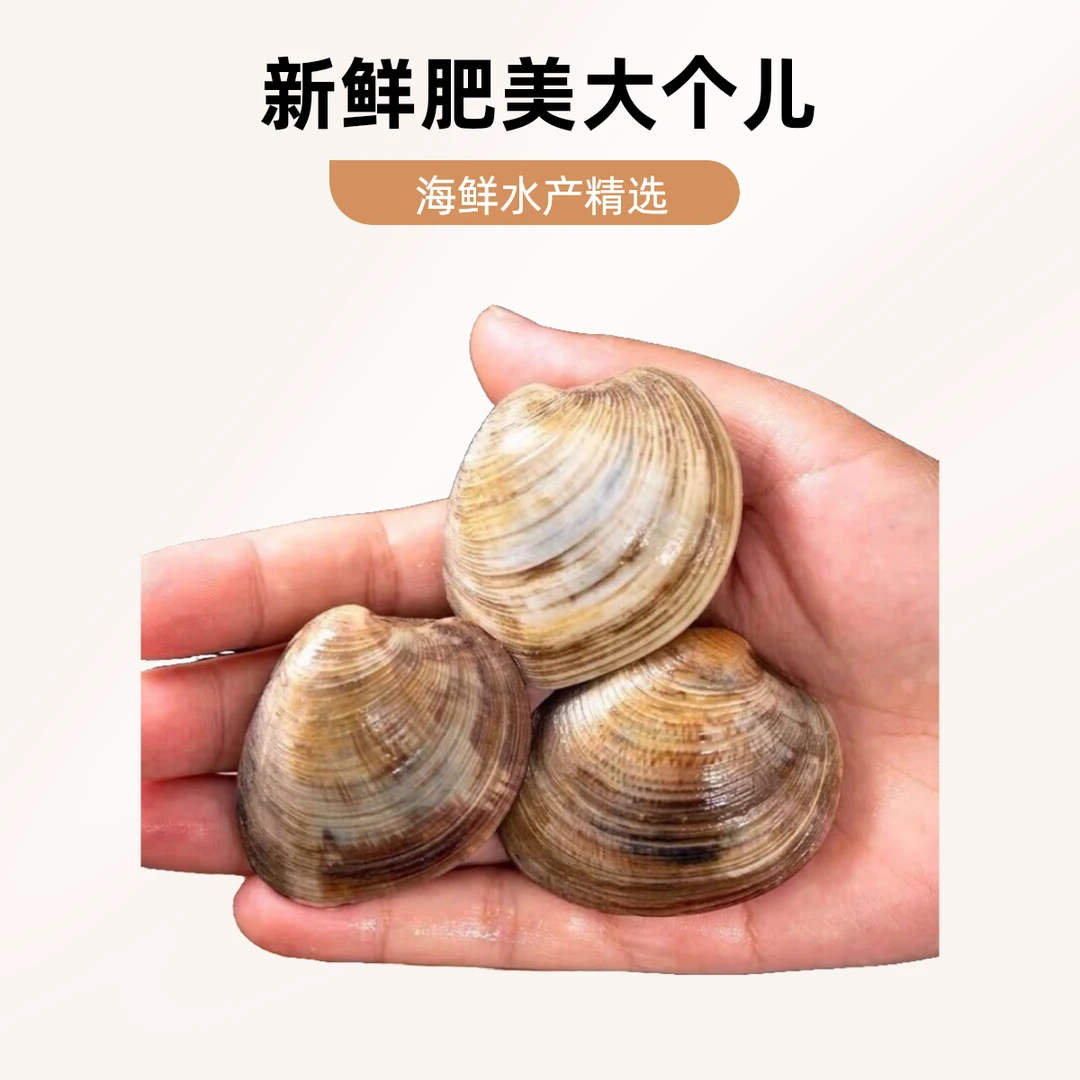 【东胜同城送】美贝 一斤