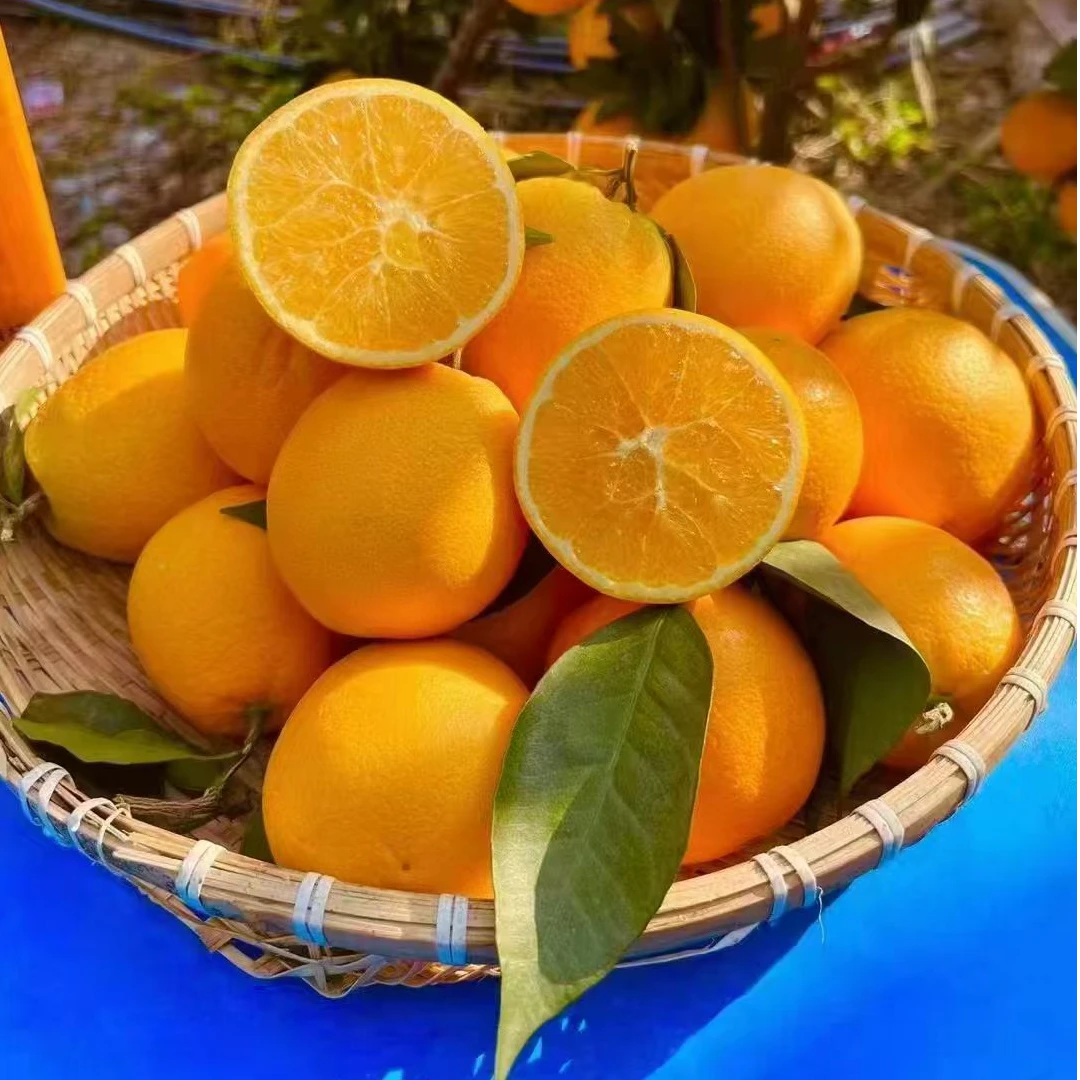 四川大凉山雷波脐橙应季孕妇新鲜水果无籽香甜爆汁非赣南奉节脐橙