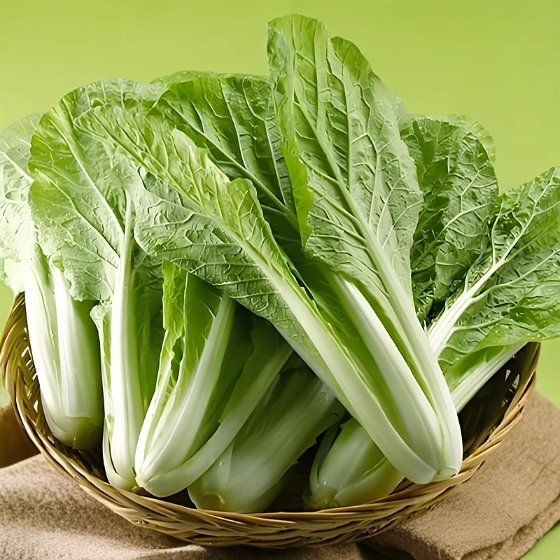 【配送到家】本地新鲜现摘小白菜白菜约400g