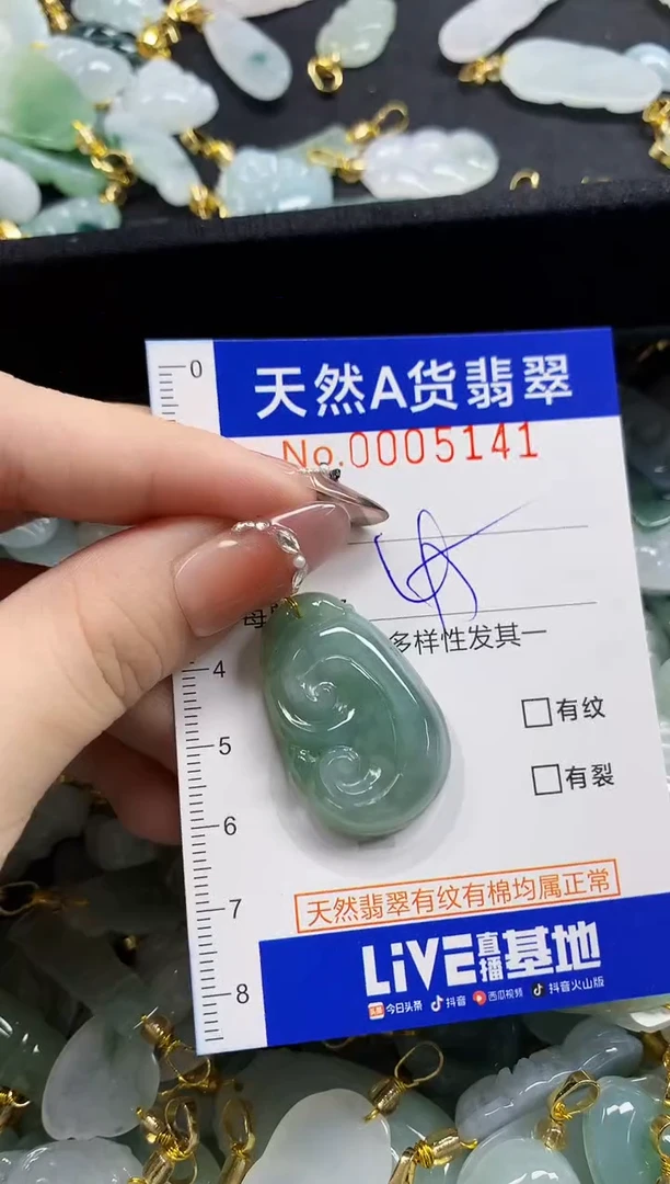 颈饰未镶嵌翡翠天然A货翡翠