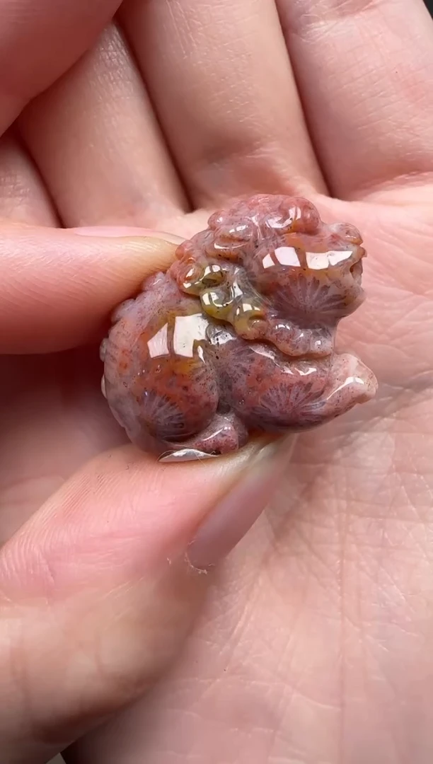 颈饰未镶嵌硅化珊瑚（珊瑚玉）397