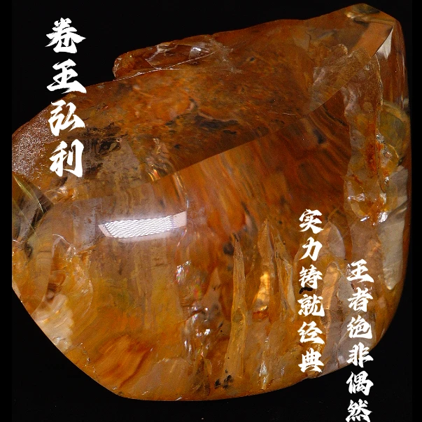 精中精中精·多样性发其一