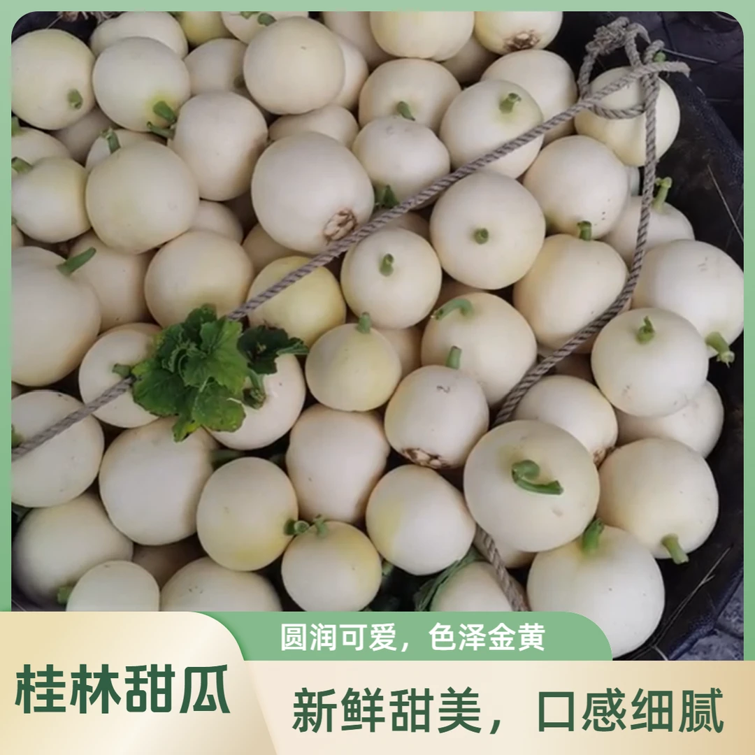 甜瓜水果新鲜香瓜当季时令小甜瓜脆瓜应季整箱 精选大果多斤
