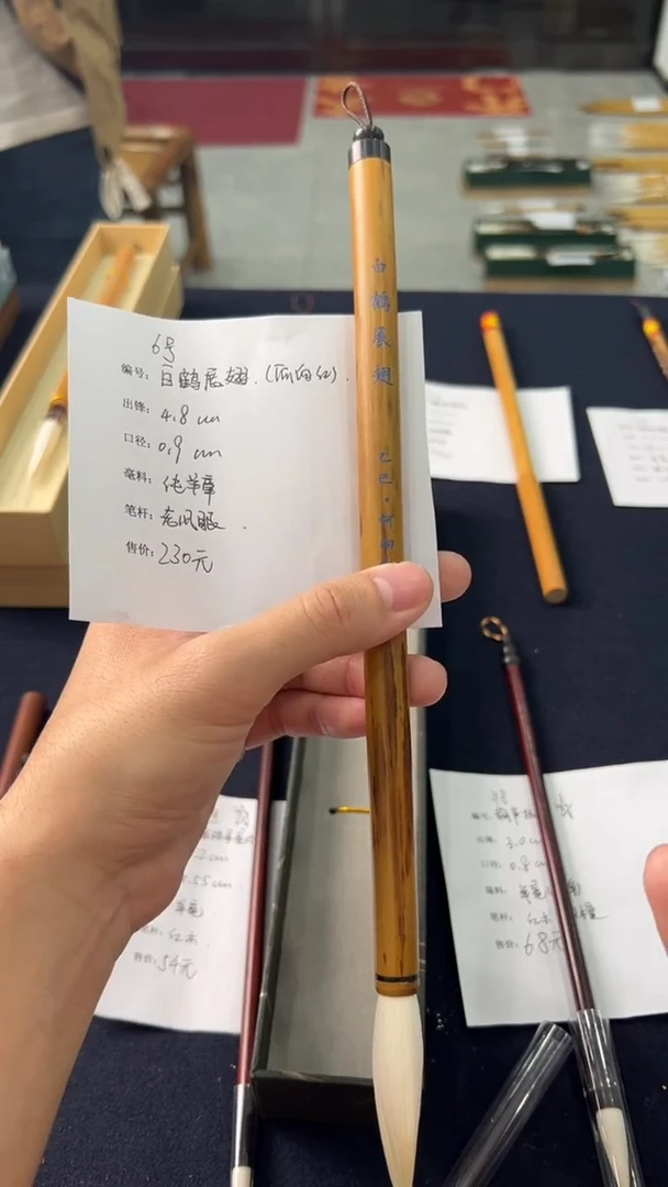 6号 白鹤展翅（何向红）出4.8口0.9