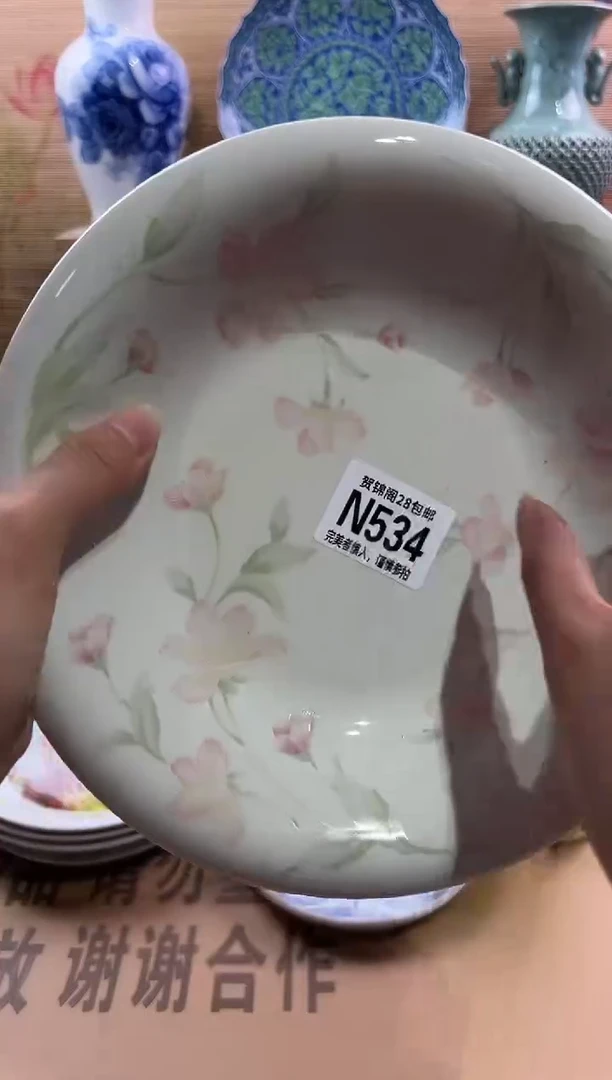 瓷片          N534