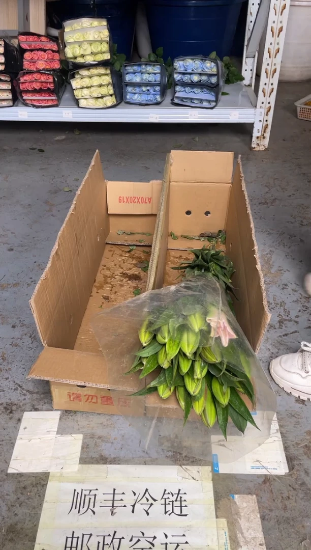 双头粉百合10枝