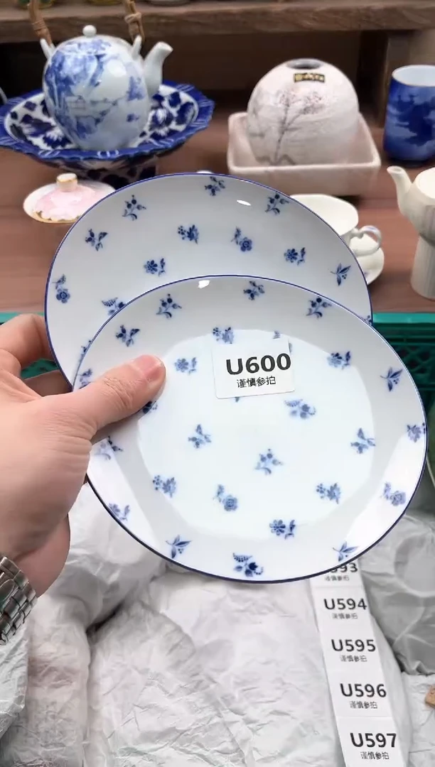 【闪购商品】瓷片600