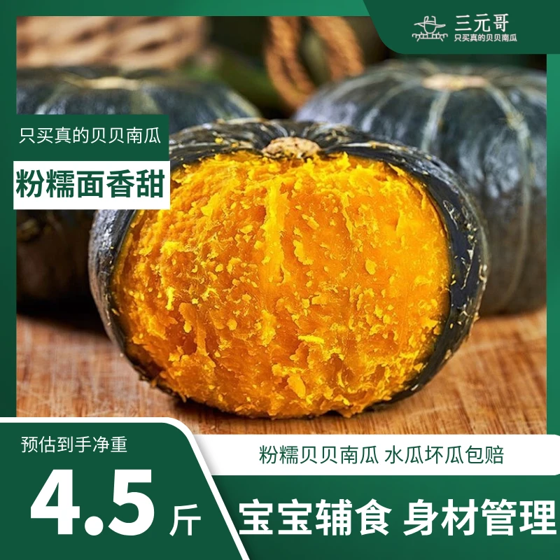 山东正宗板栗味贝贝南瓜新鲜采摘粉糯香甜可作宝宝辅食老南瓜保粉