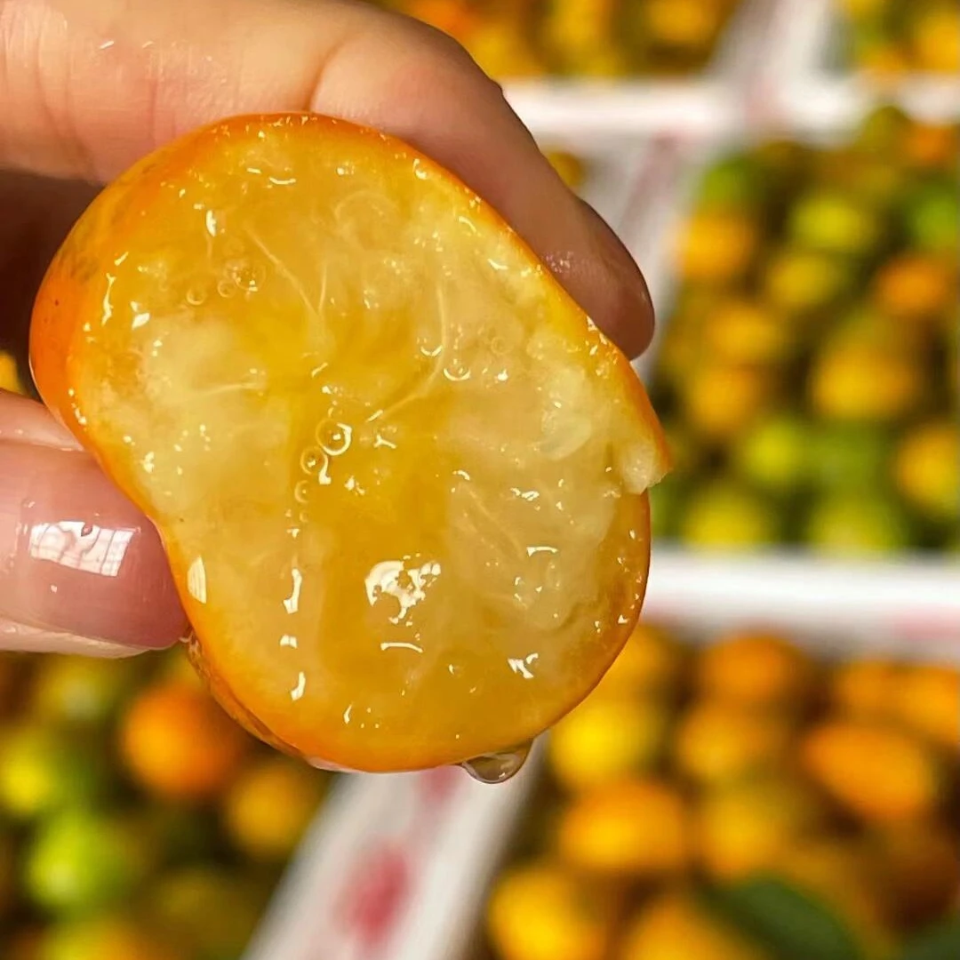 脆蜜金柑*小糖豆散装2斤【顺丰包邮】柑橘广西壮族自治区