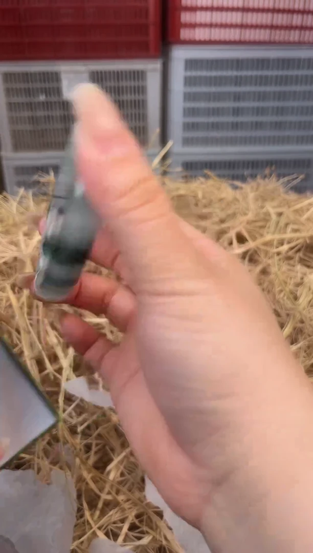 天然辰砂编号A-5125