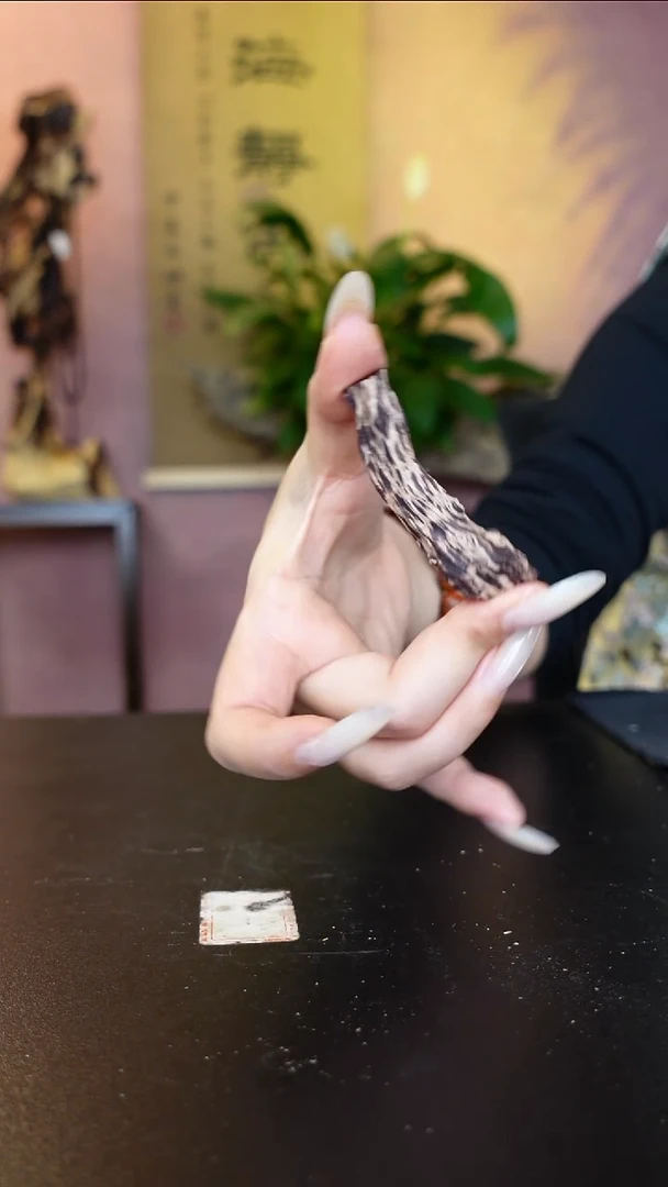 木本降真香海南红降根油料随形10g