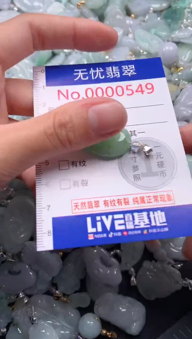 颈饰未镶嵌翡翠549