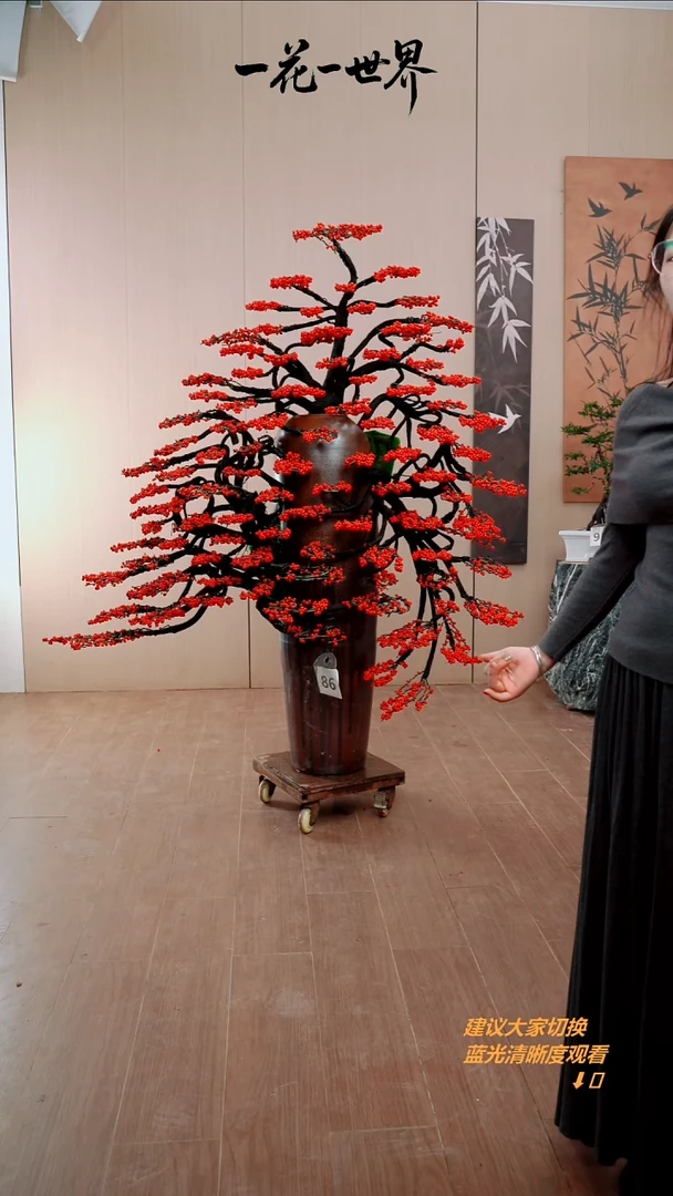 完全开放烟****）冬青111