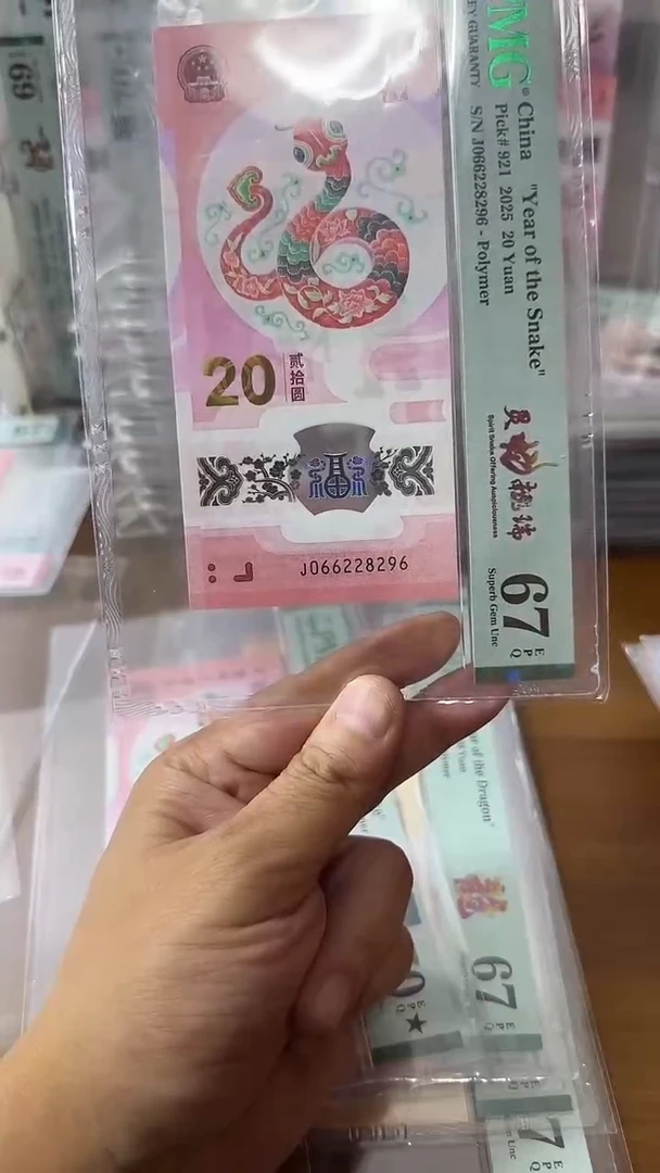 塑料066228296-蛇钞单张