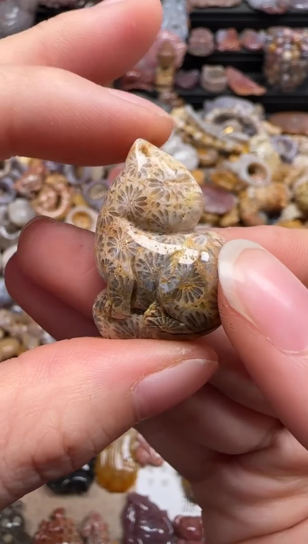 【闪购商品】硅化珊瑚（珊瑚玉）颈饰未镶嵌668