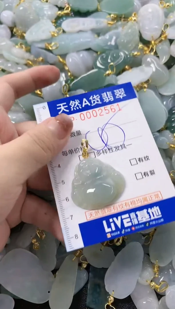 颈饰未镶嵌翡翠天然A货翡翠